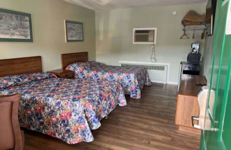 Pet Friendly Room